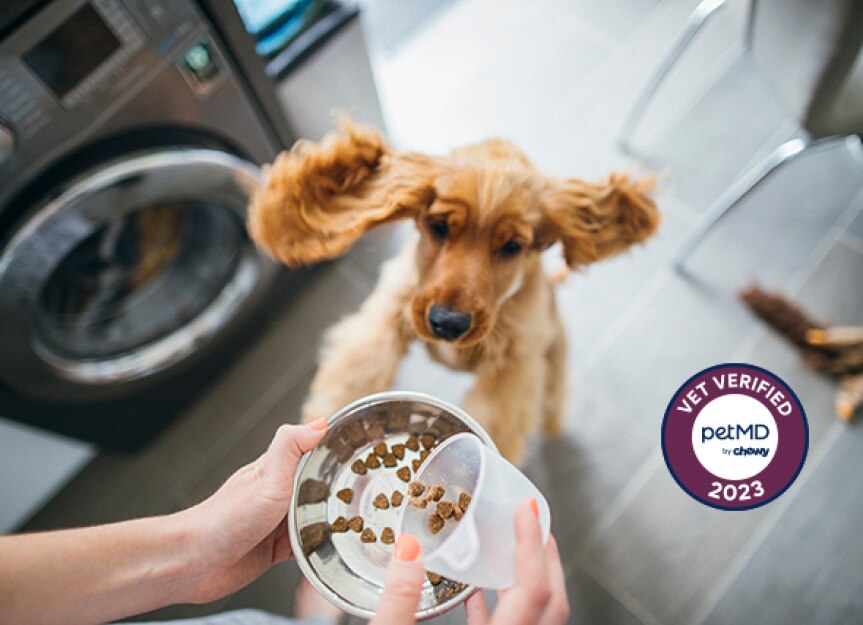 Purina® Pro Plan® FortiFlora Probiotic Supplement Powder PetMD